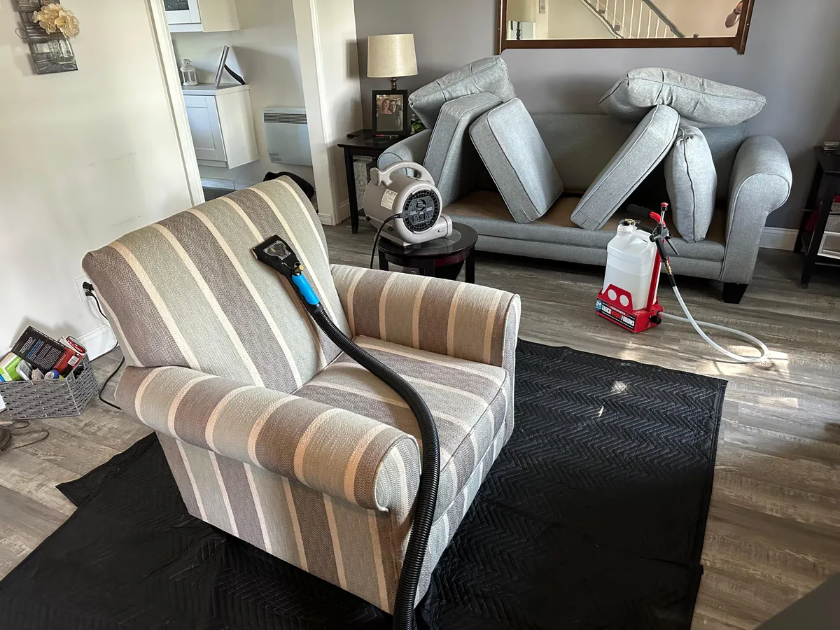 Réalisation professionnelle Groupe Nettoyage Empire - Tapis, Meubles et Entretien