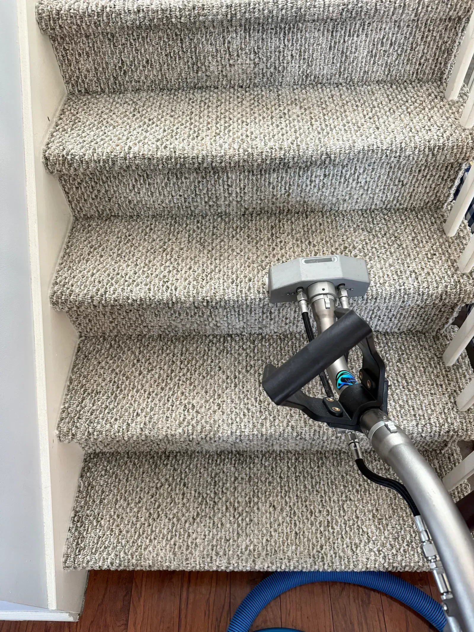 Tapis propre et sain - Élimination allergènes Laval