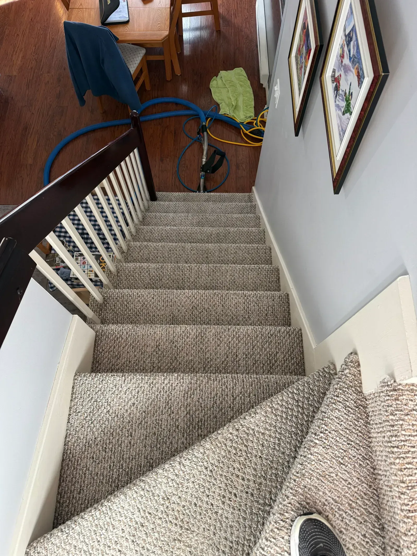 Expertise nettoyage tapis 30 ans - Groupe Empire Rive-Sud