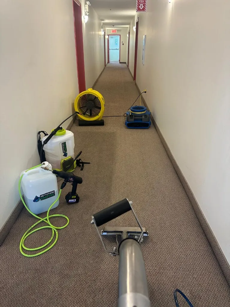 Réalisation professionnelle Groupe Nettoyage Empire - Tapis, Meubles et Entretien