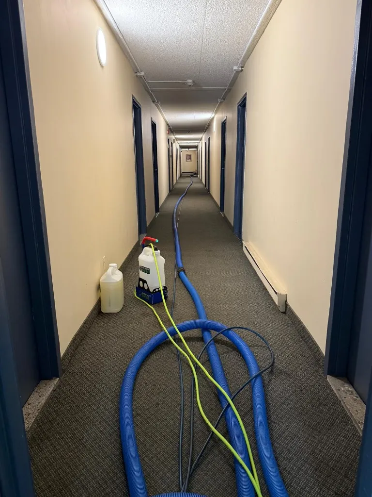 Réalisation professionnelle Groupe Nettoyage Empire - Tapis, Meubles et Entretien