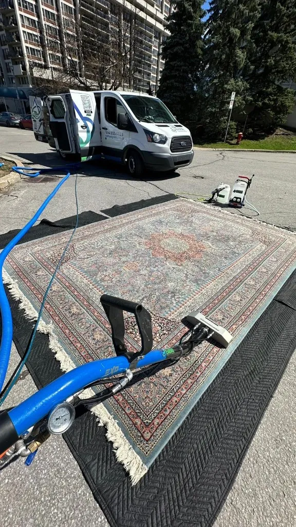 Réalisation professionnelle Groupe Nettoyage Empire - Tapis, Meubles et Entretien