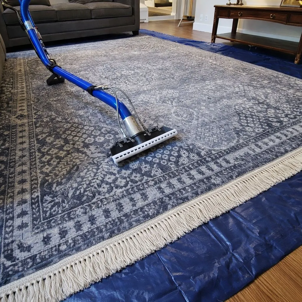 Nettoyage de tapis en laine à domicile - Image 4