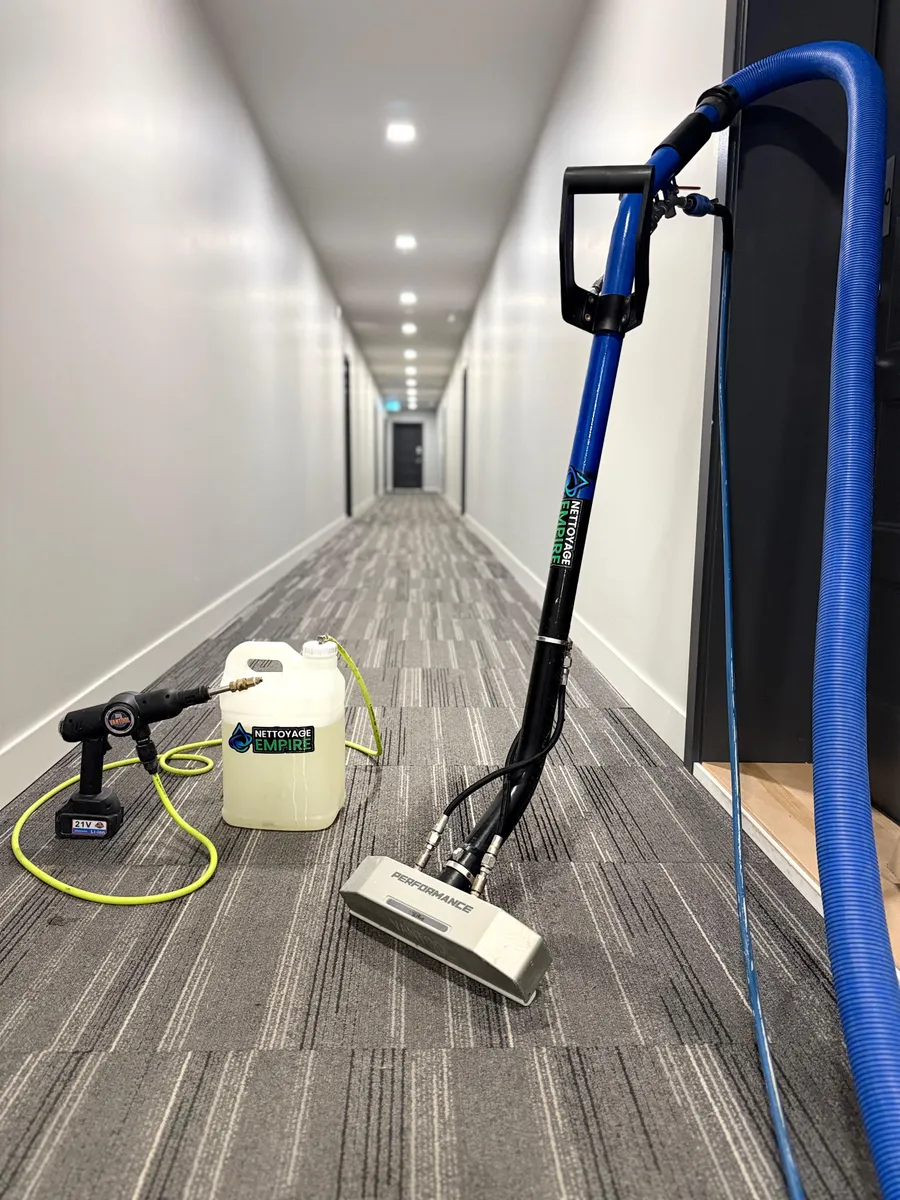 Réalisation professionnelle Groupe Nettoyage Empire - Tapis, Meubles et Entretien