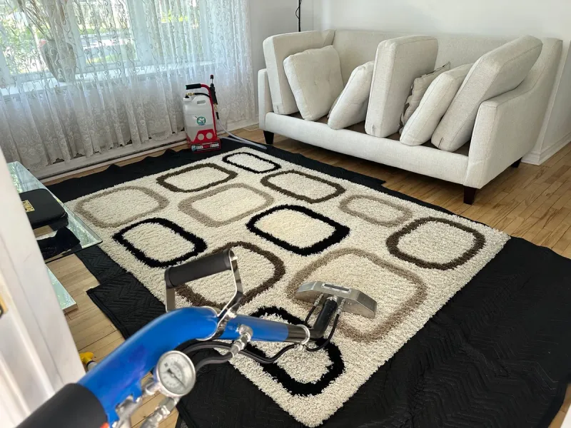 Nettoyage de tapis en laine