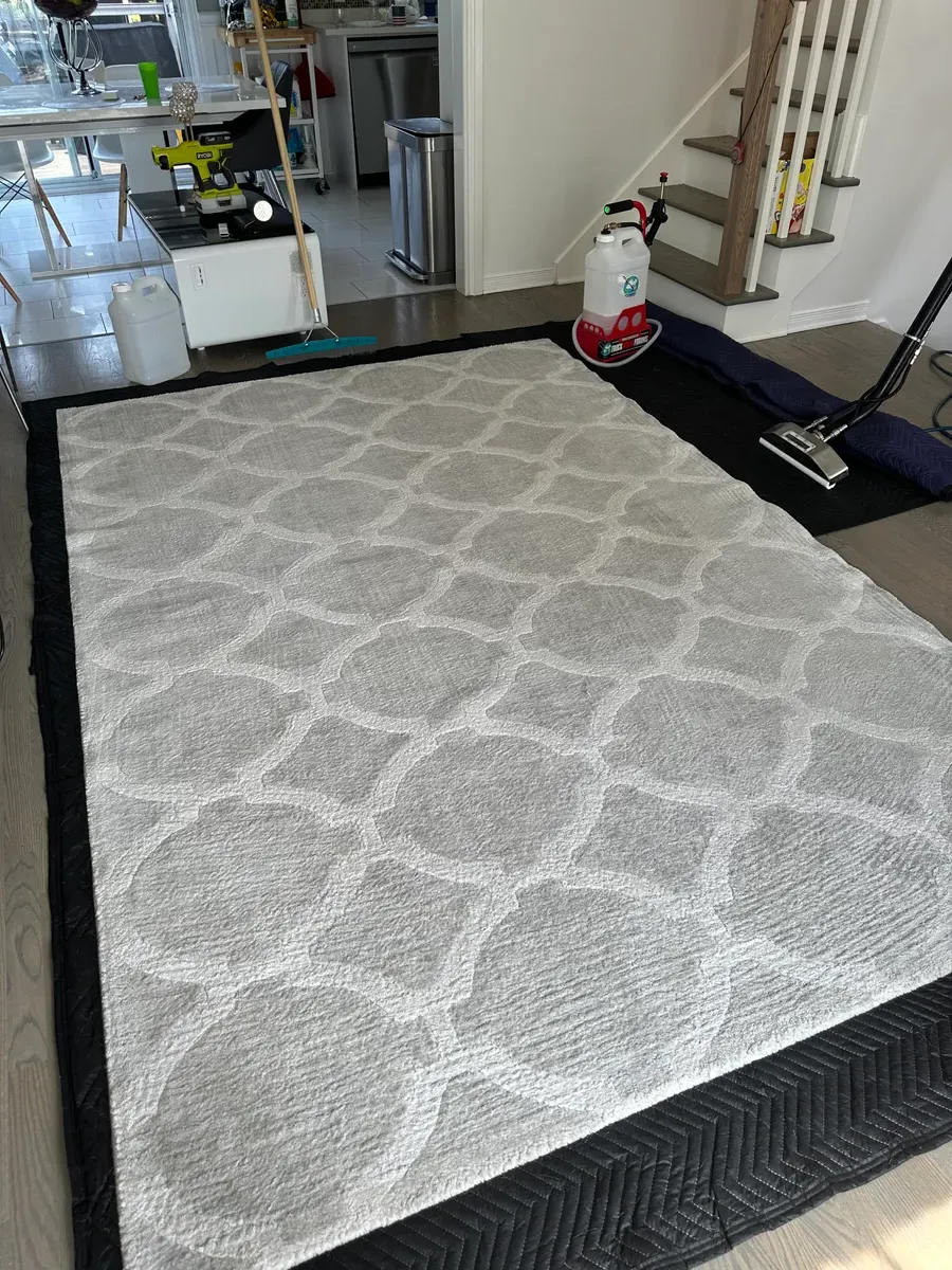 Réalisation professionnelle Groupe Nettoyage Empire - Tapis, Meubles et Entretien