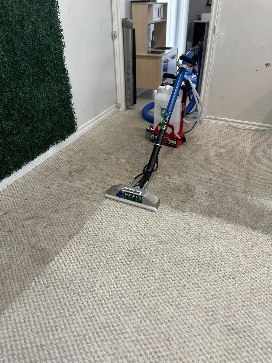 Réalisation professionnelle Groupe Nettoyage Empire - Tapis, Meubles et Entretien