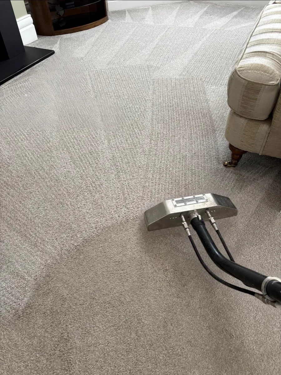 Réalisation professionnelle Groupe Nettoyage Empire - Tapis, Meubles et Entretien