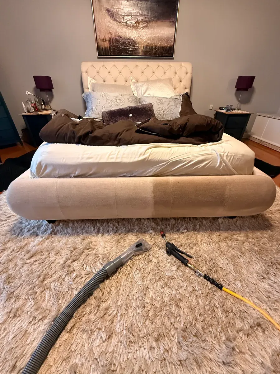 Réalisation professionnelle Groupe Nettoyage Empire - Tapis, Meubles et Entretien