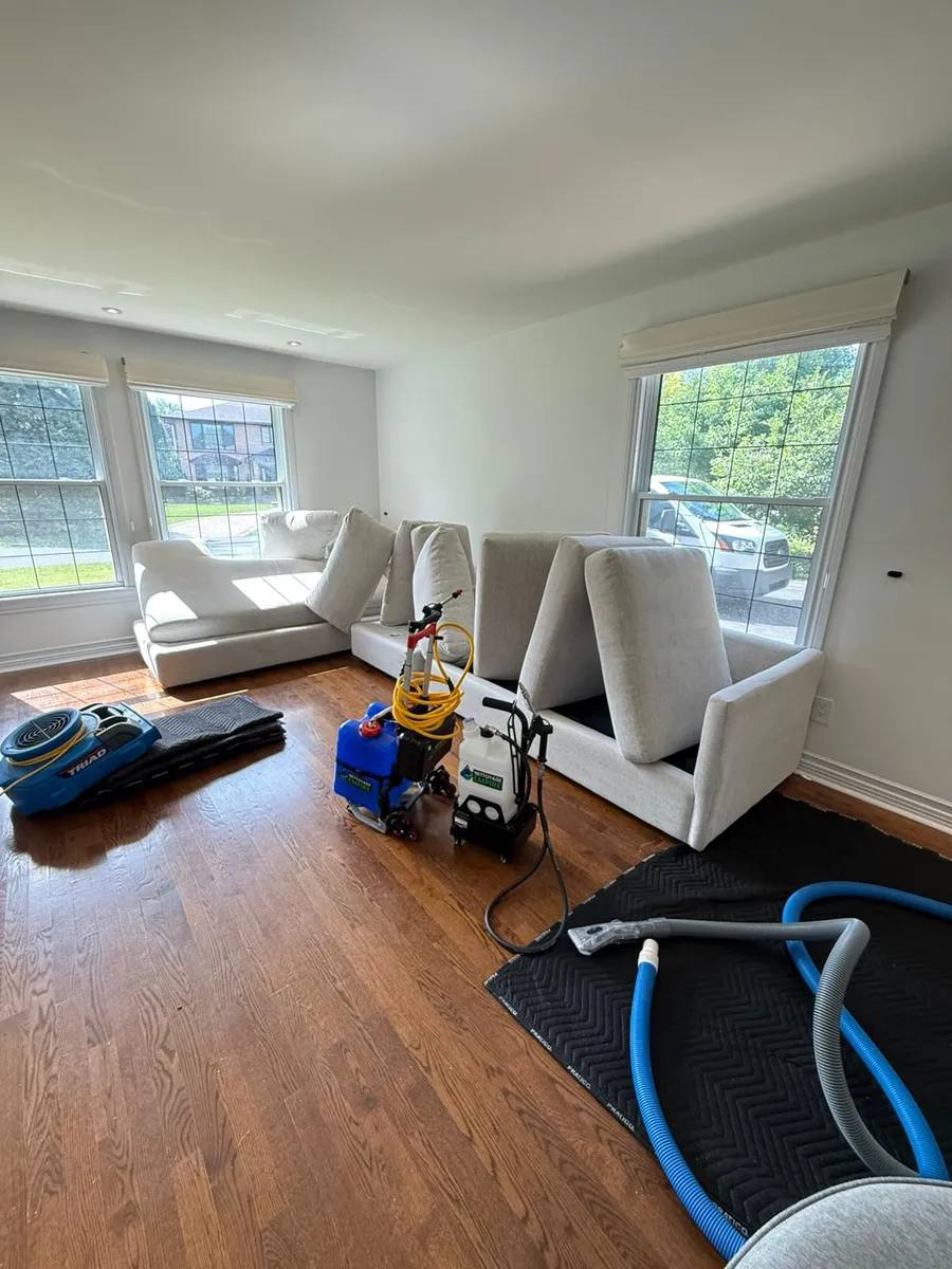 Réalisation professionnelle Groupe Nettoyage Empire - Tapis, Meubles et Entretien