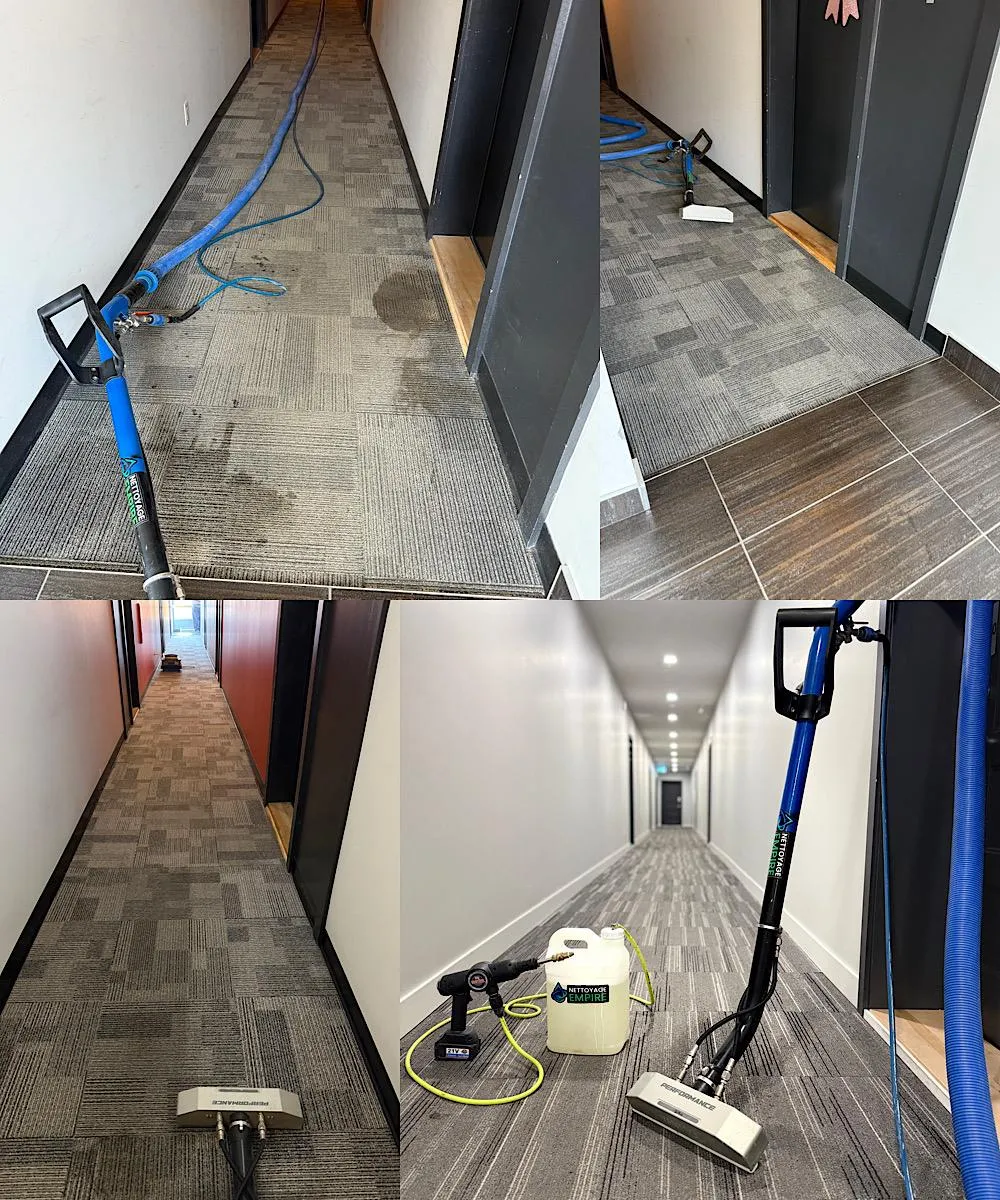 Réalisation professionnelle Groupe Nettoyage Empire - Tapis, Meubles et Entretien