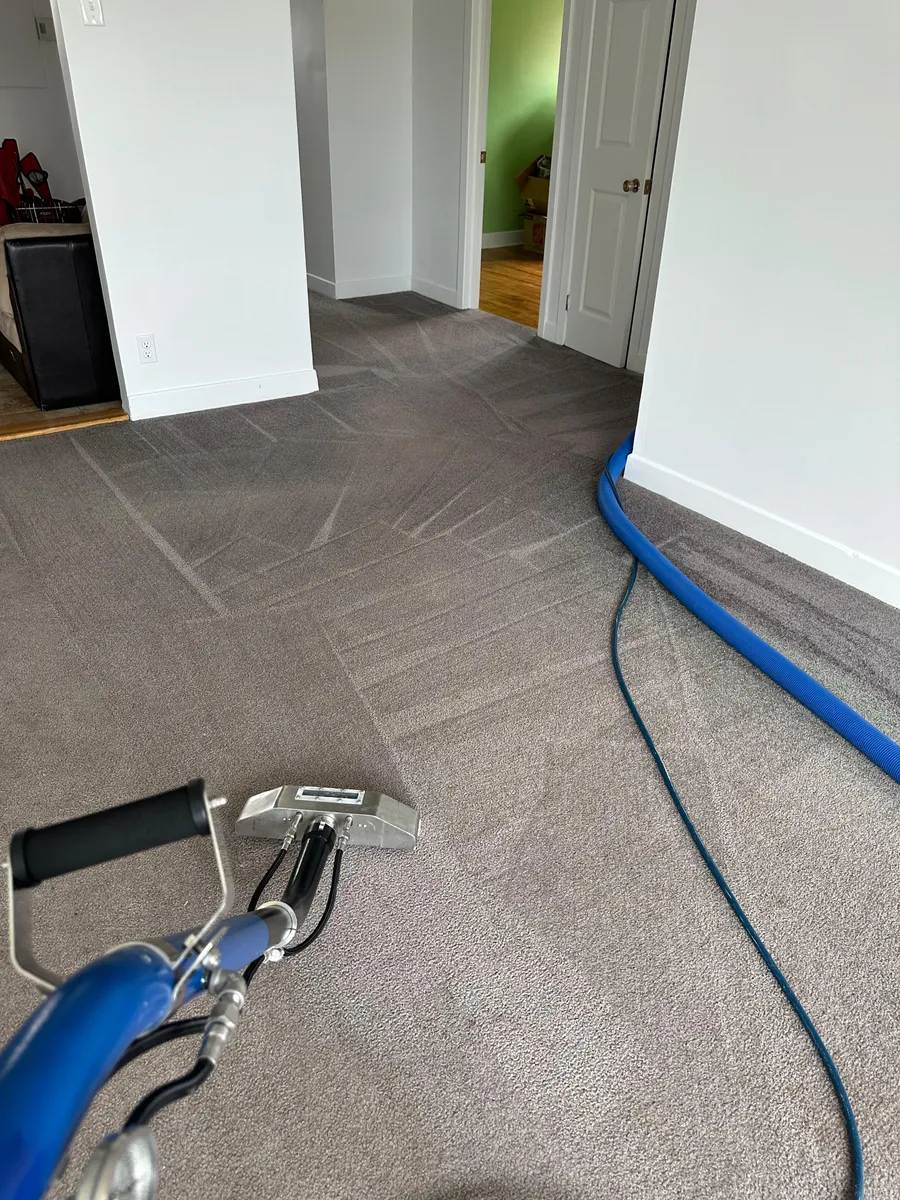 Réalisation professionnelle Groupe Nettoyage Empire - Tapis, Meubles et Entretien