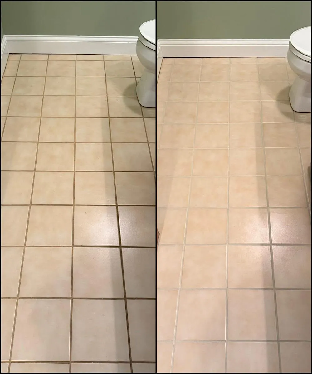 Réalisation professionnelle Groupe Nettoyage Empire - Tapis, Meubles et Entretien