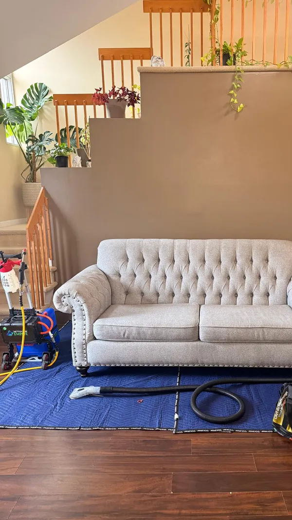 Aperçu de la vidéo : Nettoyage de sofa et causeuse capitonnés