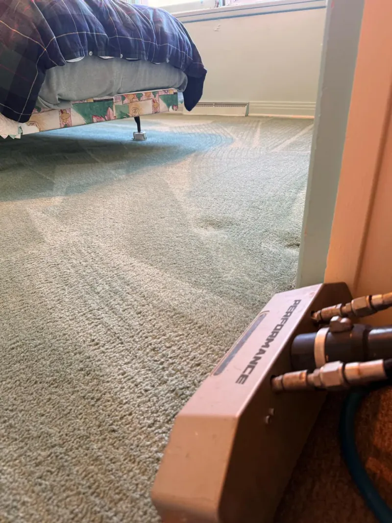 Aperçu de la vidéo : Nettoyage complet de tapis résidentiel à domicile