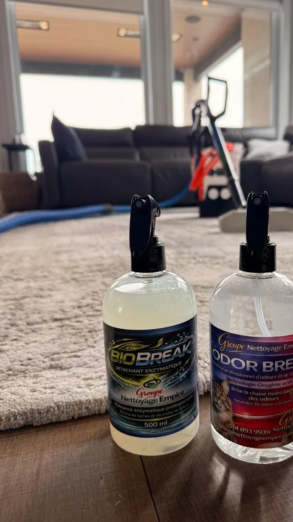 Aperçu de la vidéo : Nettoyage de printemps | Nettoyage à la vapeur et camion usine