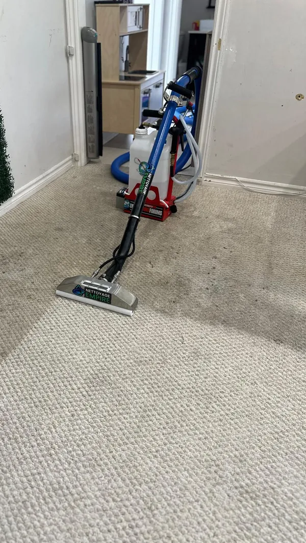 Aperçu de la vidéo : Nettoyage d’un tapis très sale | Avant après, traitement enzymatique et vapeur