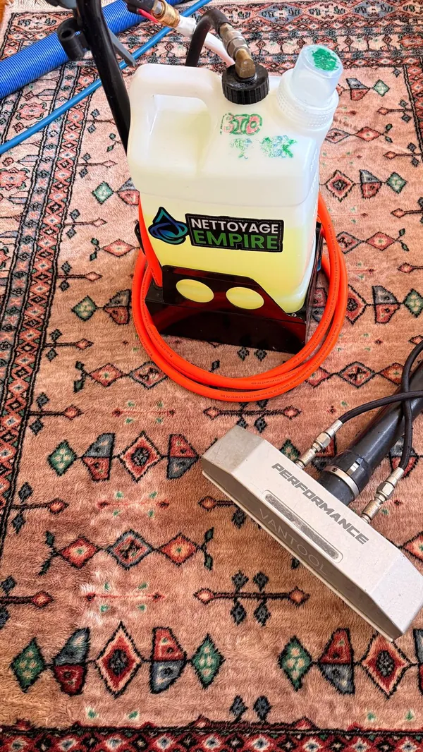 Aperçu de la vidéo : Nettoyage de carpettes perses à domicile à Westmount | Traitement urine de chat et lumière UV